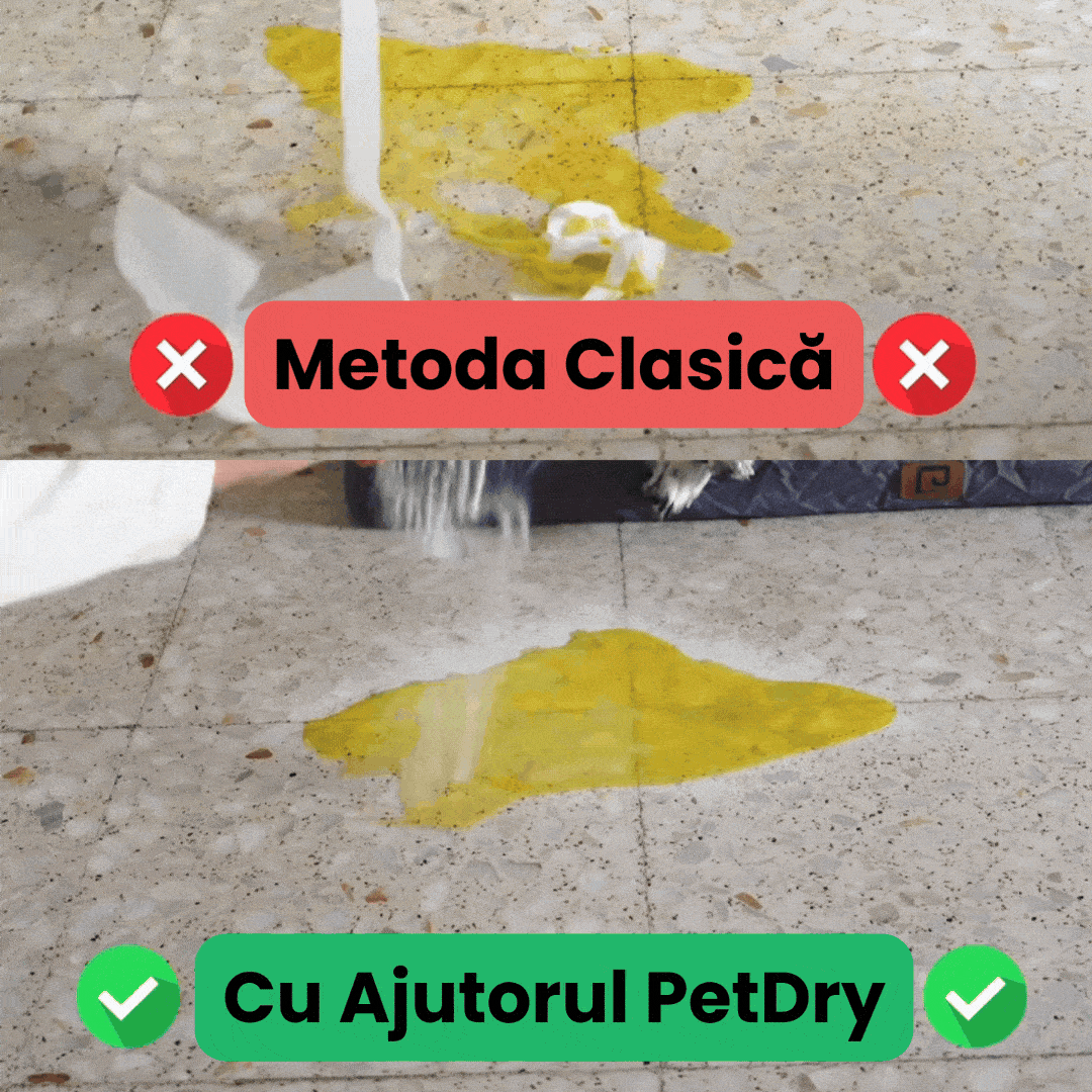 PetDry® – Scapă rapid de petele și mirosurile animalului tău!