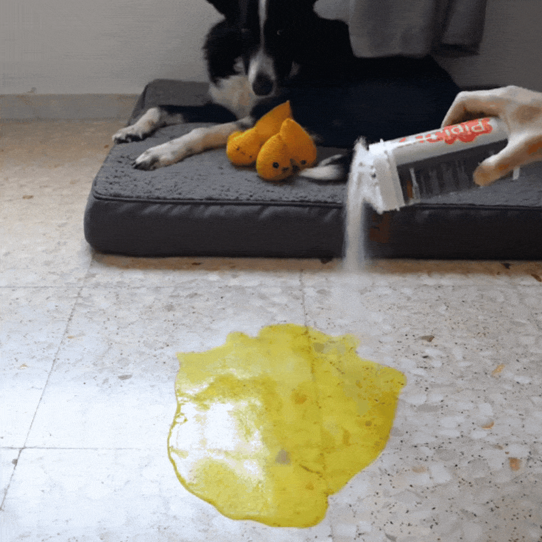 PetDry® – Scapă rapid de petele și mirosurile animalului tău!